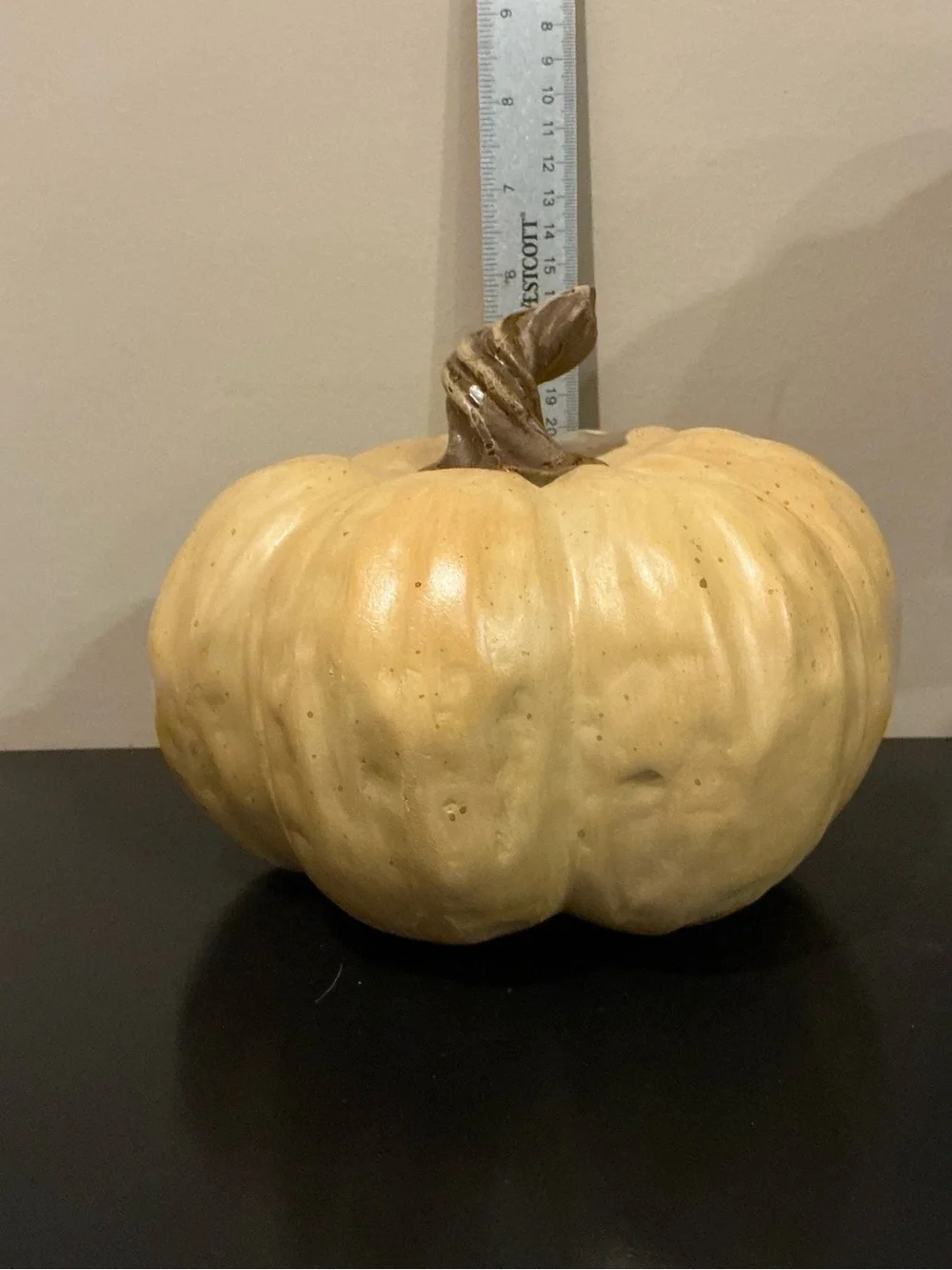 Set/4 Assorted Indoor/Outdoor Autumn Pumpkins 🍂